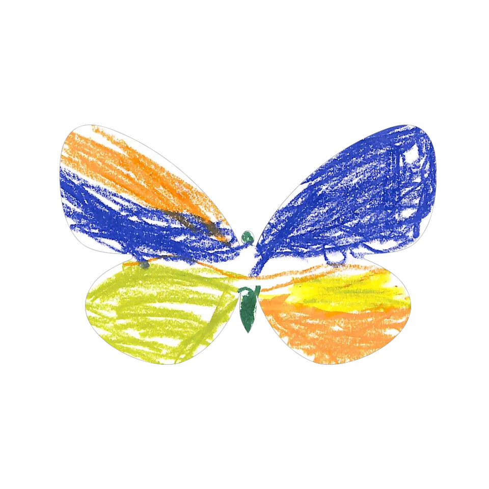 Original Butterfly Image