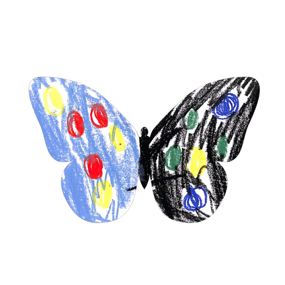 Original Butterfly Image