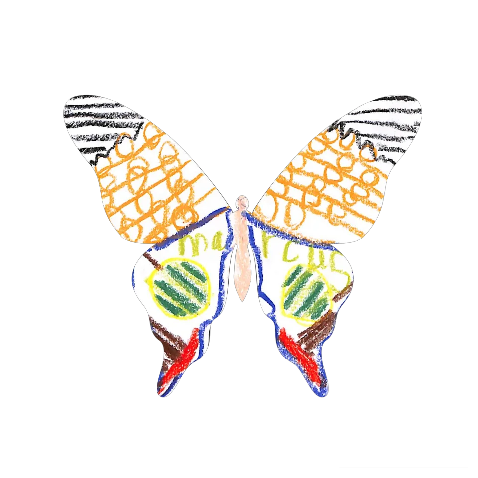 Original Butterfly Image