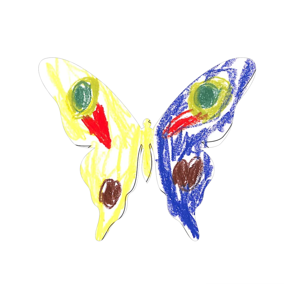 Original Butterfly Image