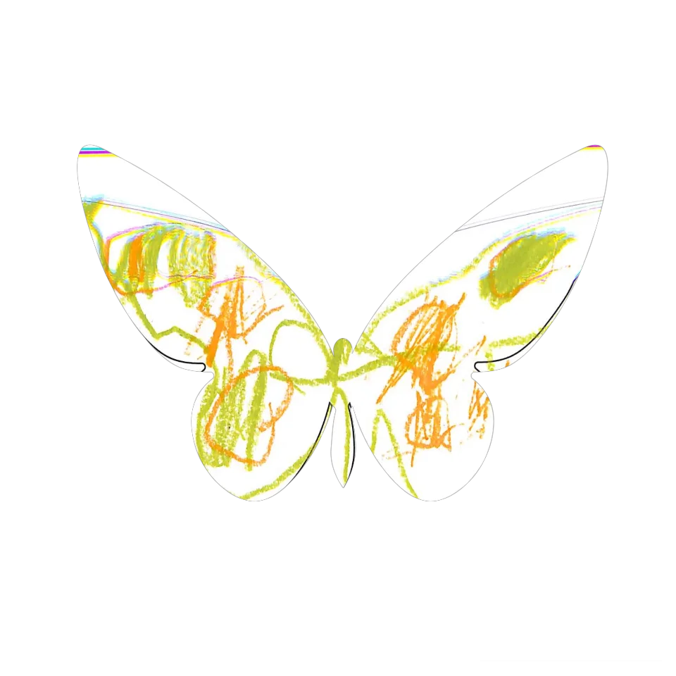 Original Butterfly Image