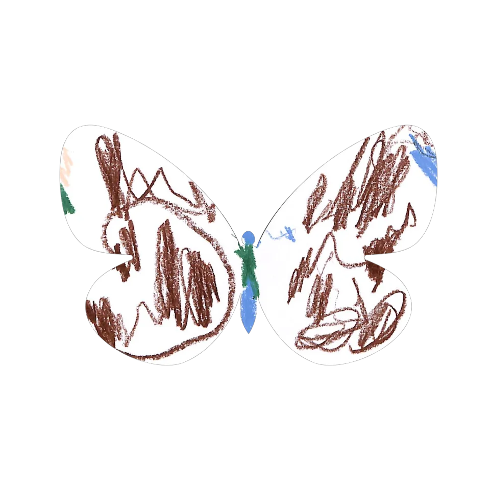 Original Butterfly Image