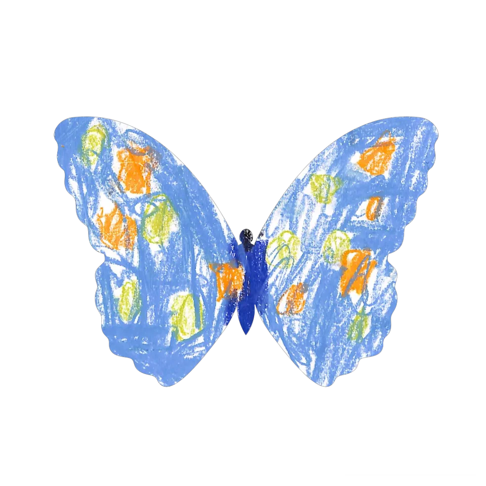 Original Butterfly Image