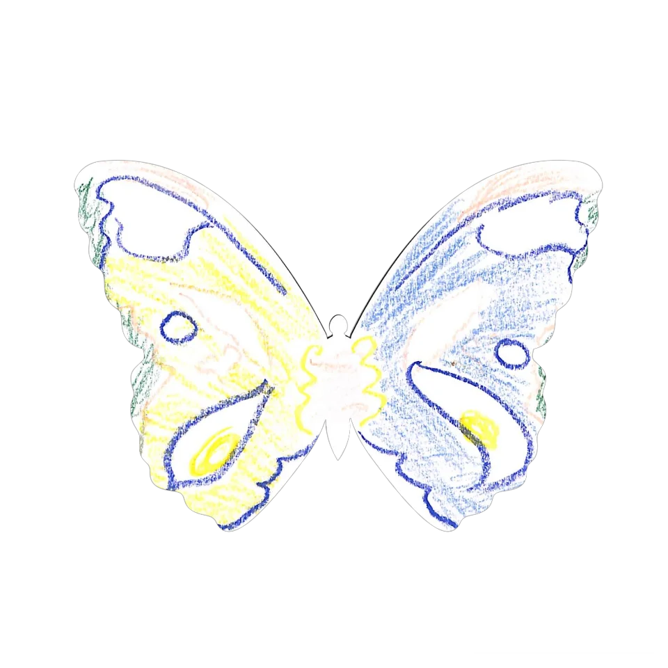 Original Butterfly Image