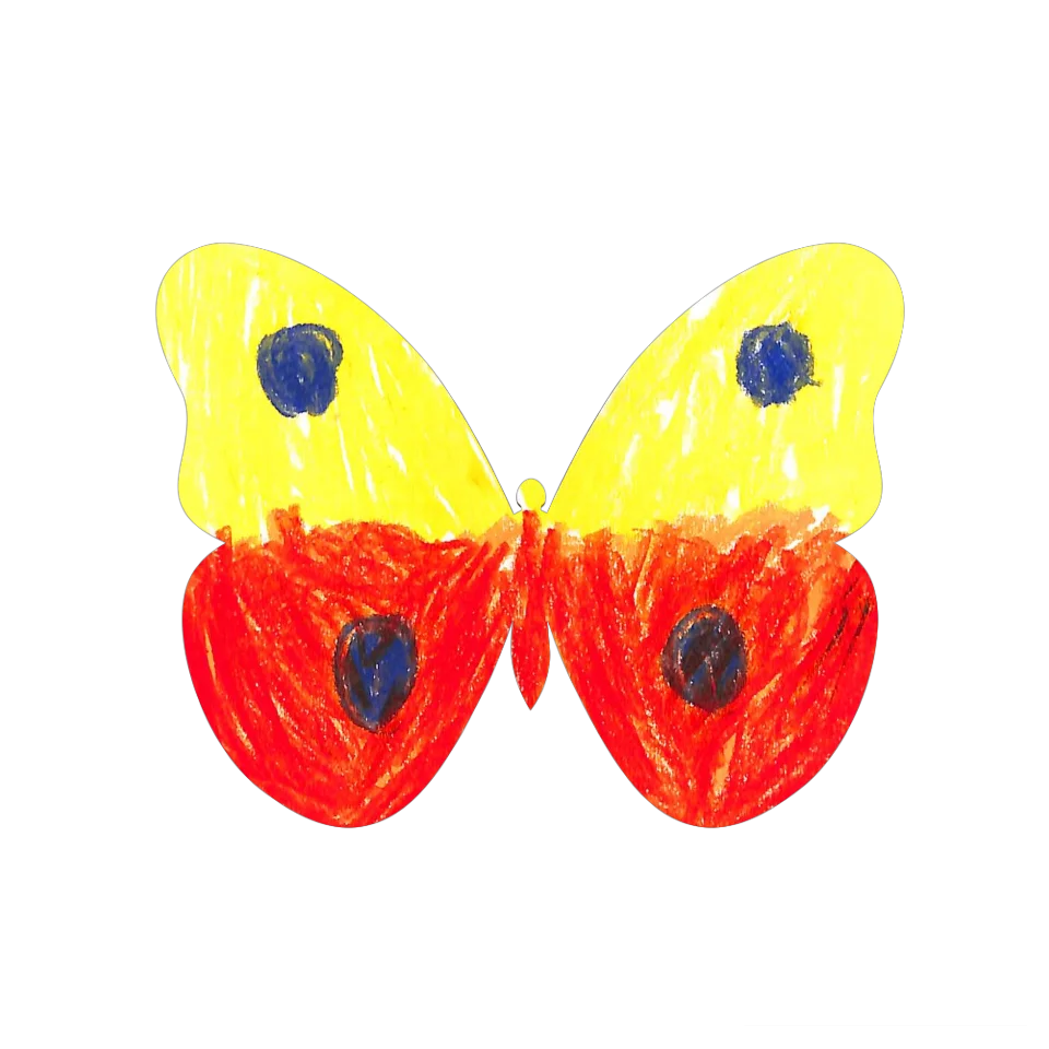Original Butterfly Image