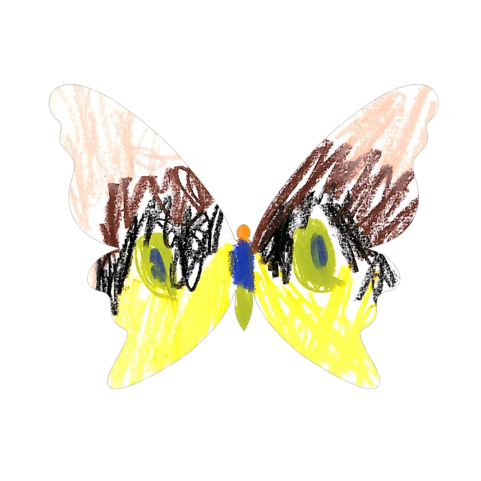 Original Butterfly Image
