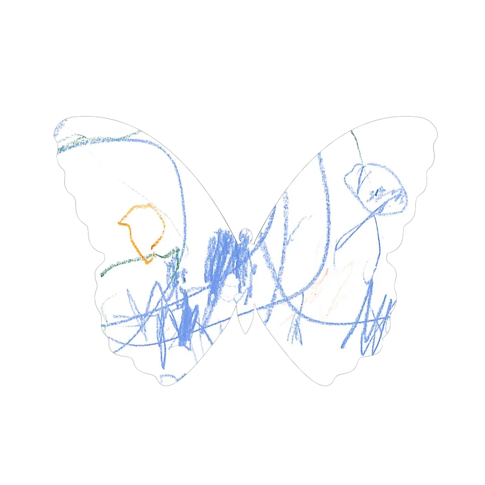 Original Butterfly Image