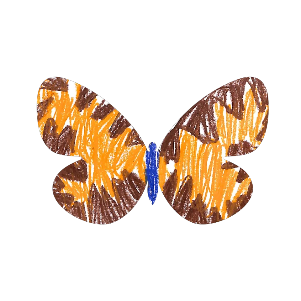 Original Butterfly Image