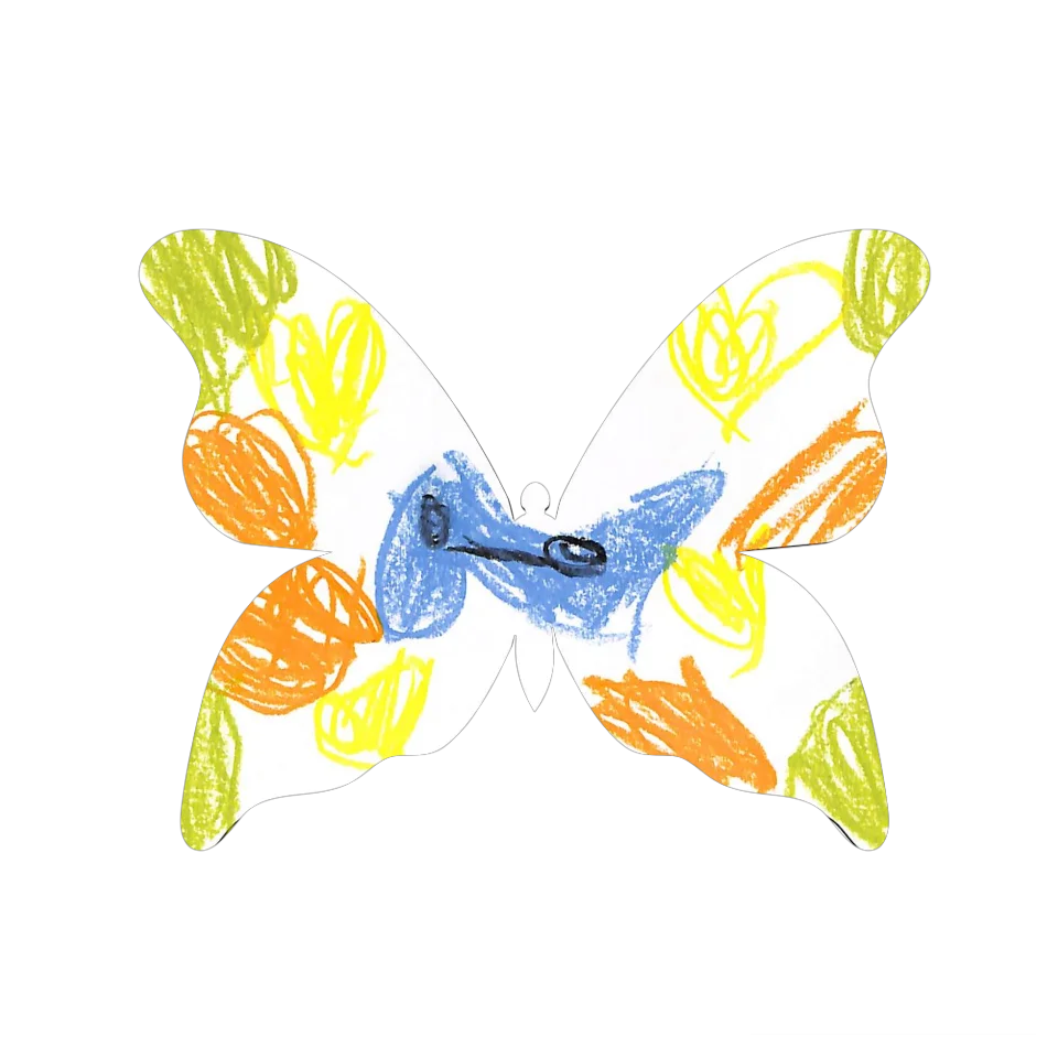 Original Butterfly Image