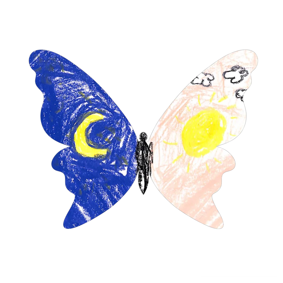 Original Butterfly Image