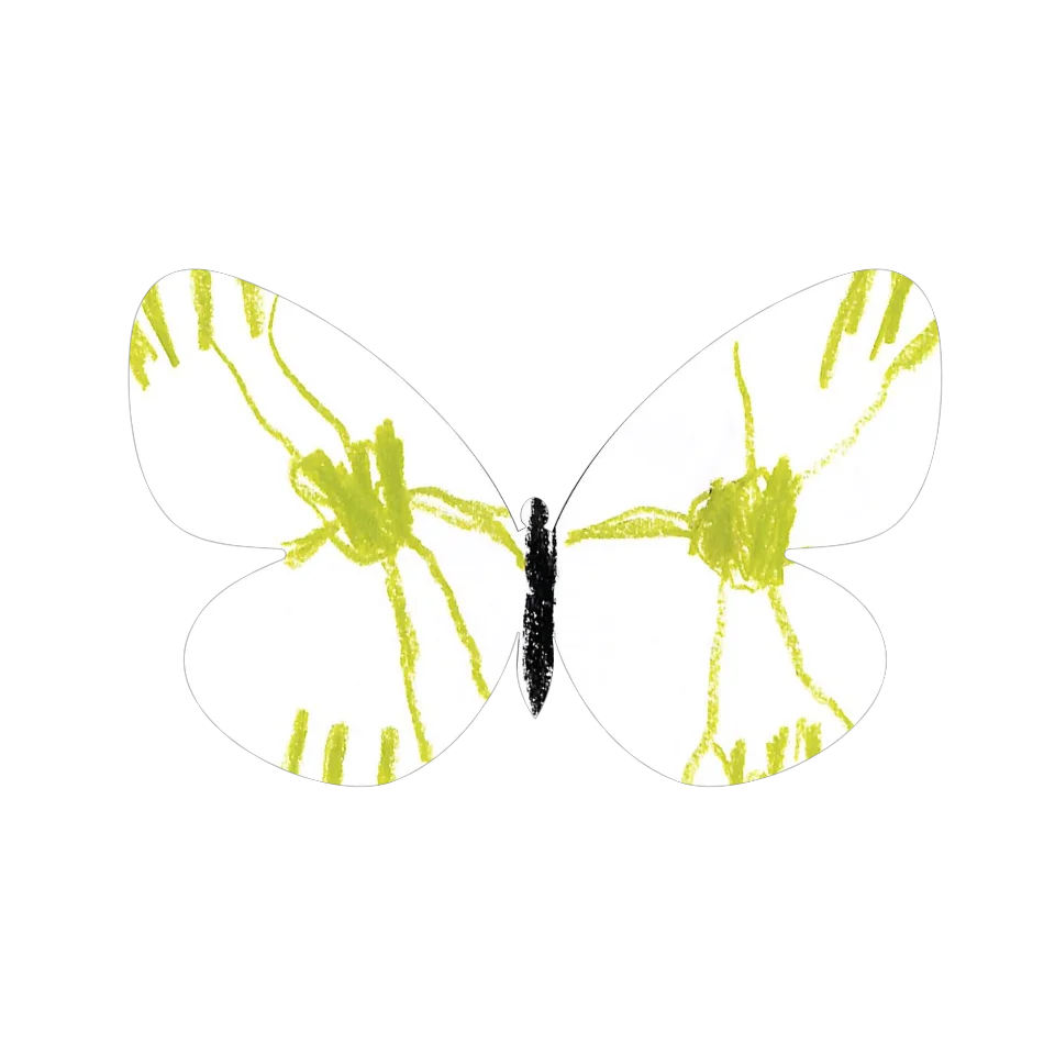 Original Butterfly Image