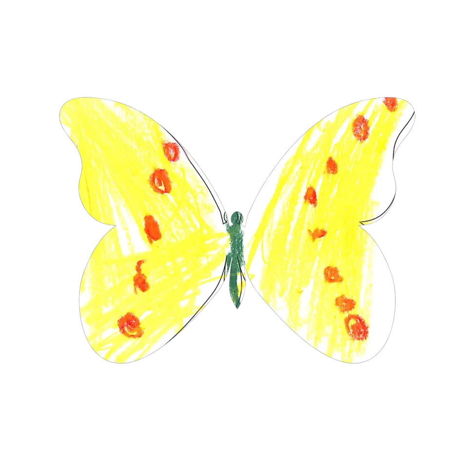 Original Butterfly Image