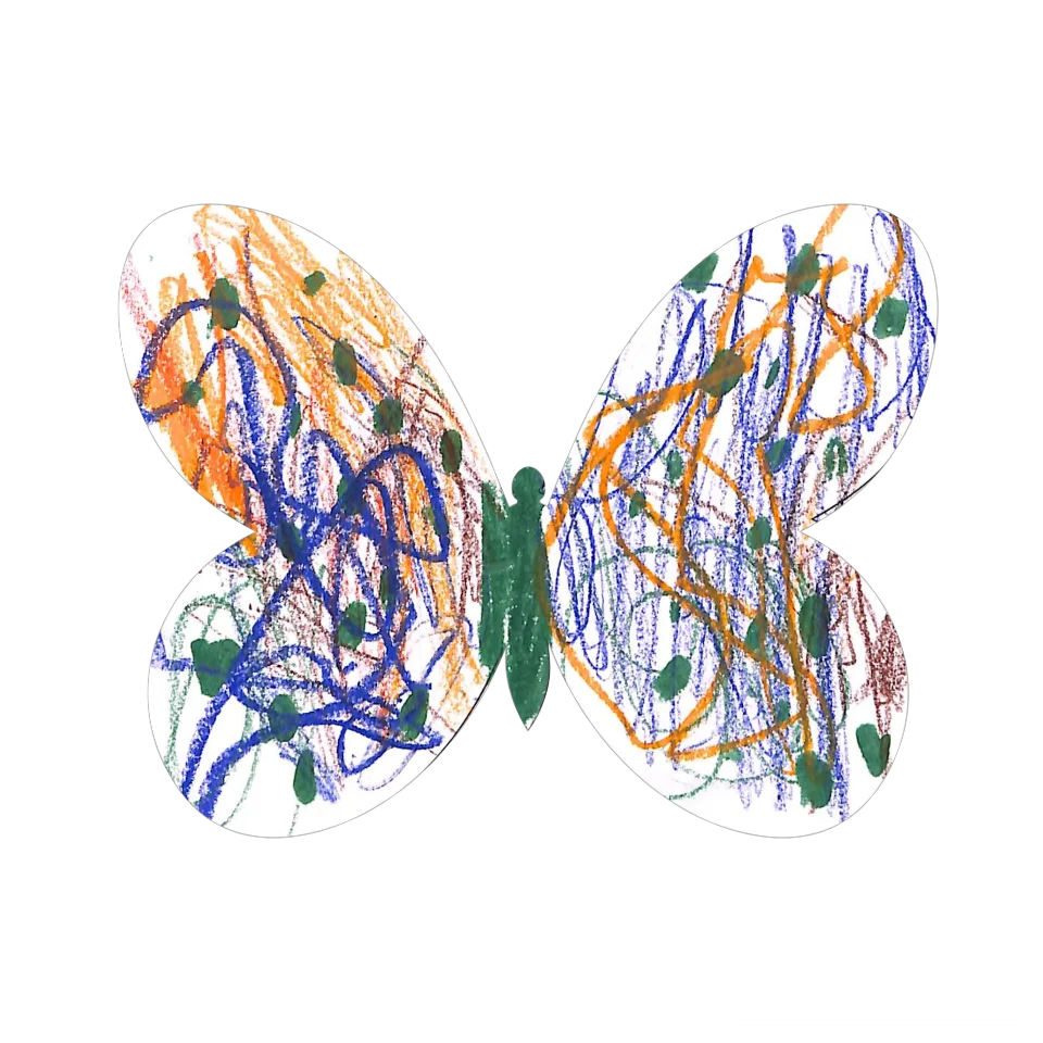 Original Butterfly Image