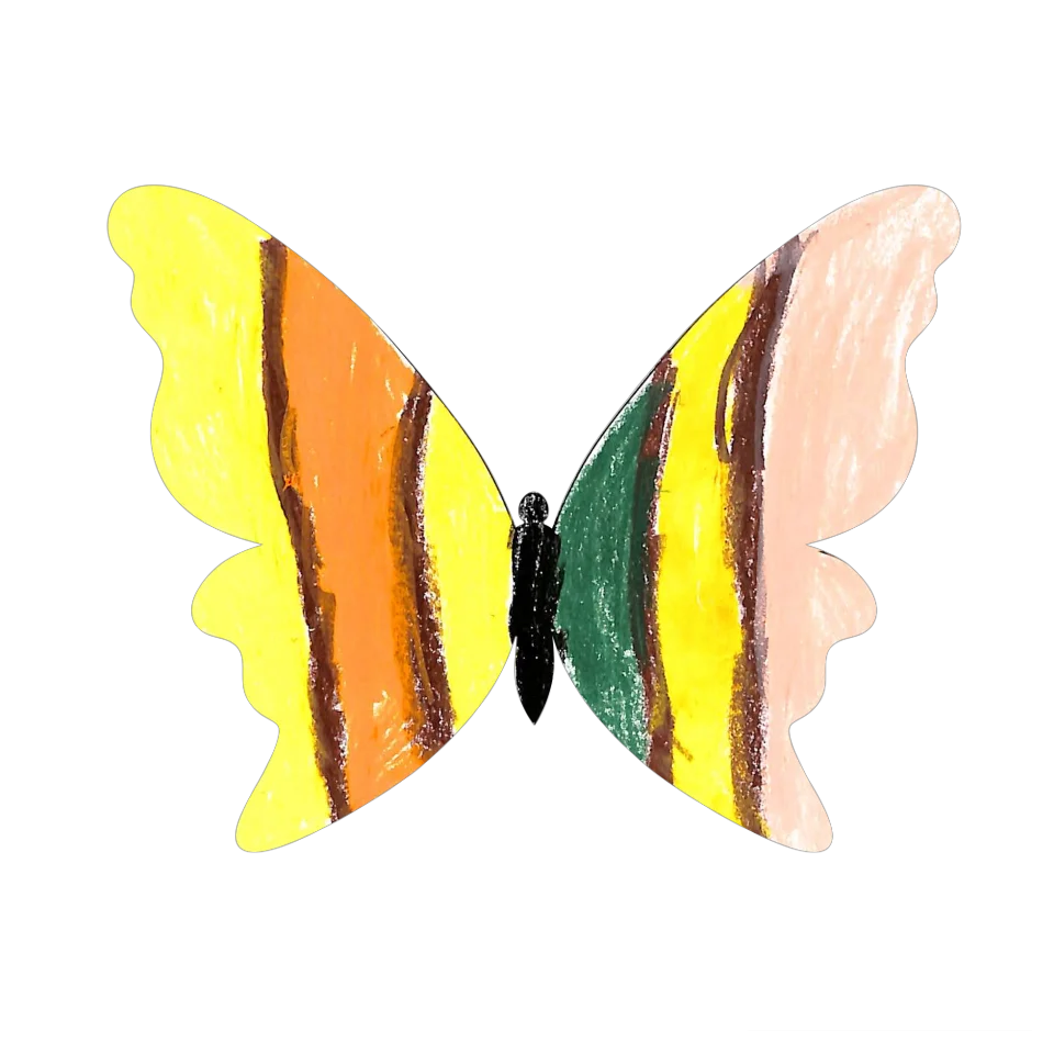 Original Butterfly Image