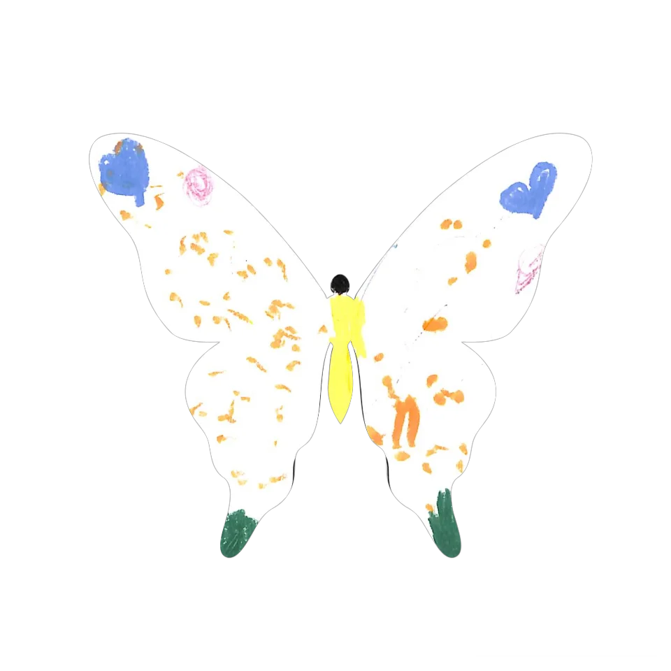 Original Butterfly Image