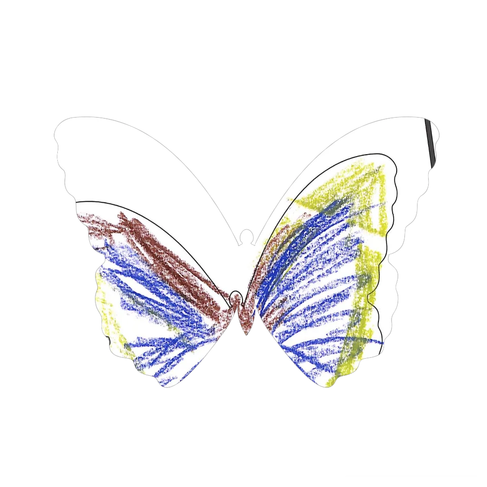 Original Butterfly Image