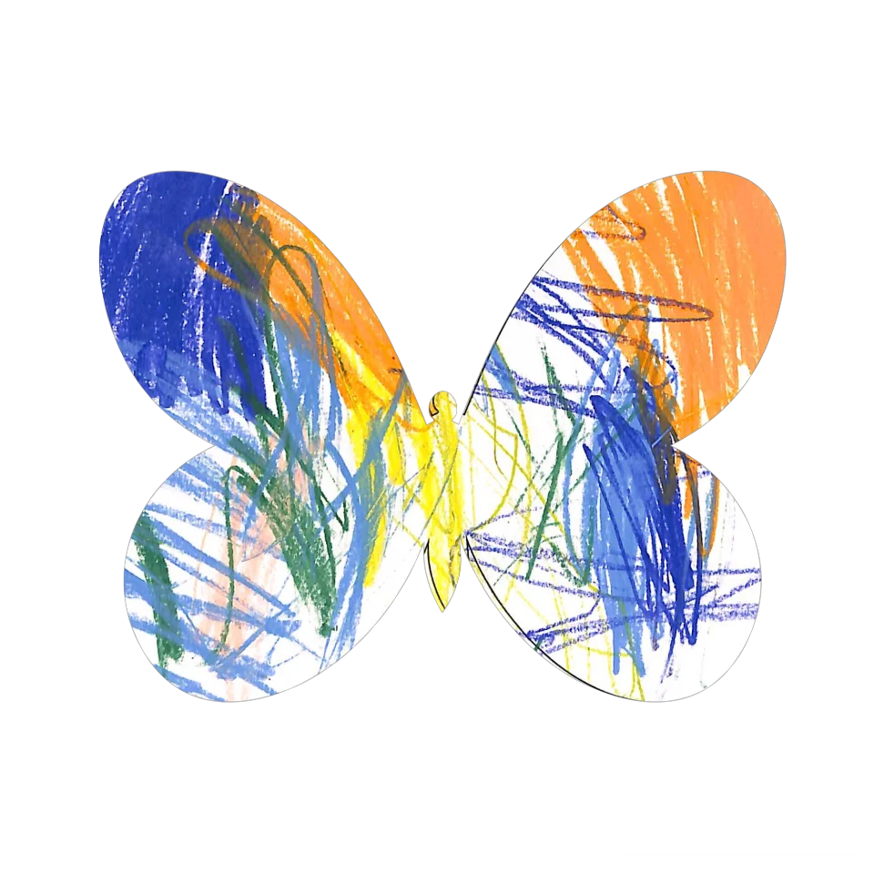 Original Butterfly Image
