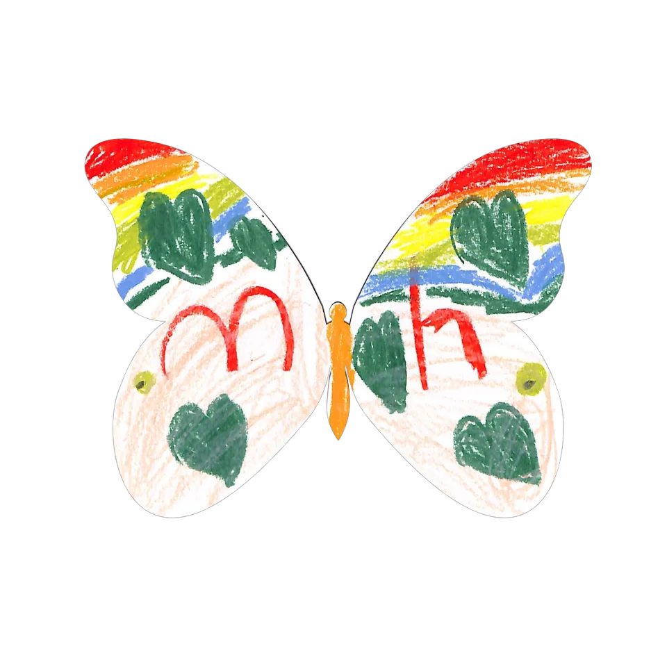 Original Butterfly Image