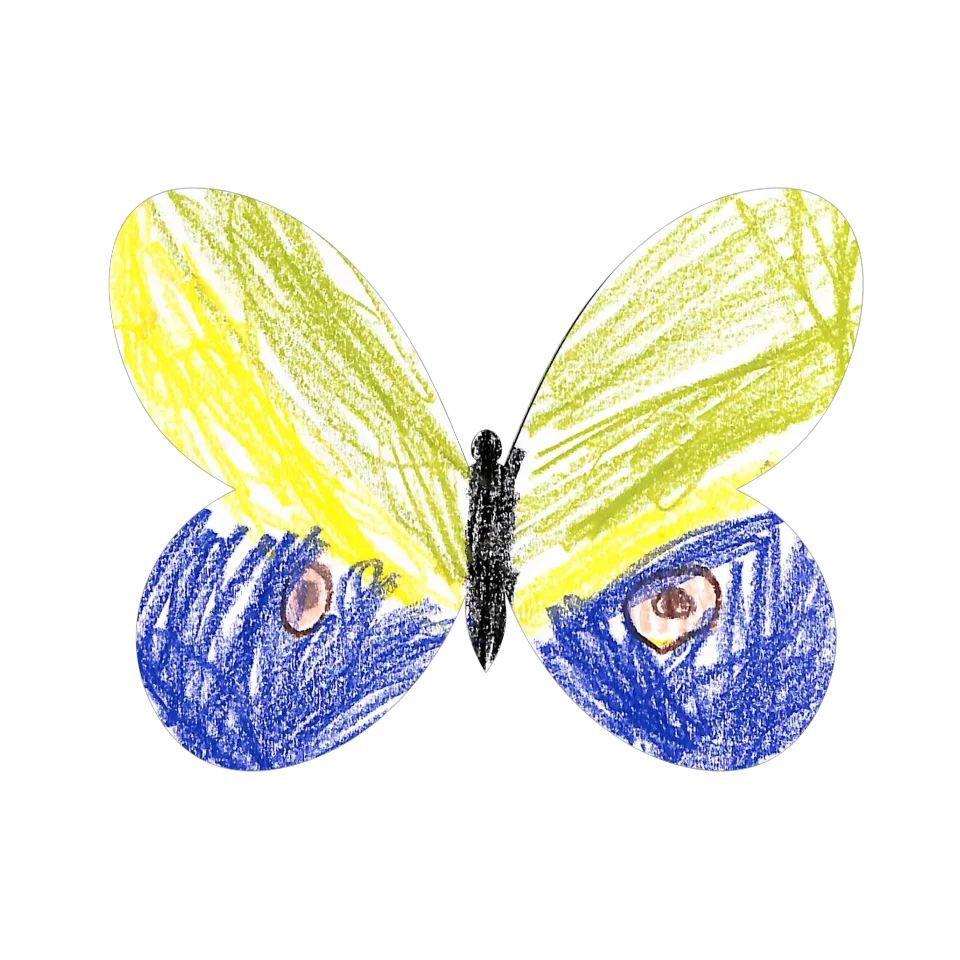 Original Butterfly Image
