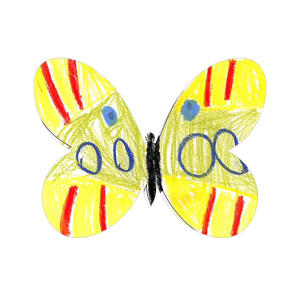Original Butterfly Image