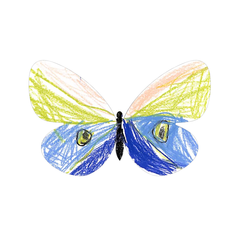 Original Butterfly Image