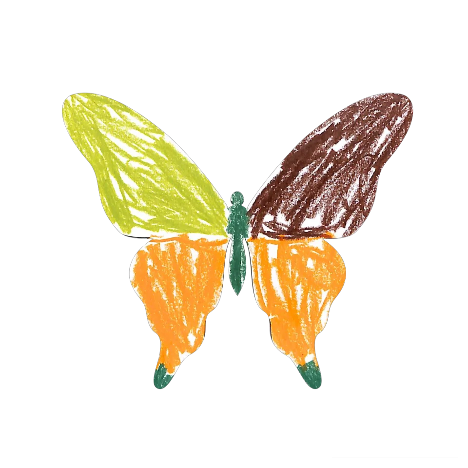Original Butterfly Image