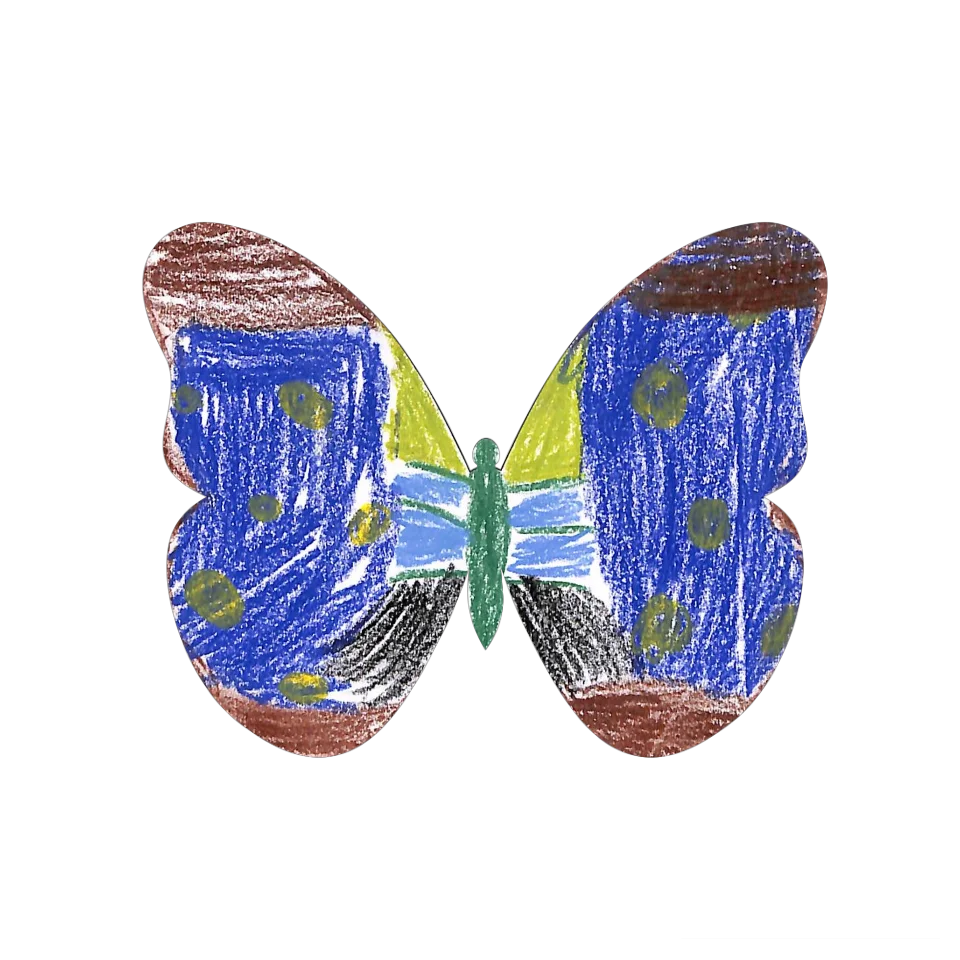 Original Butterfly Image