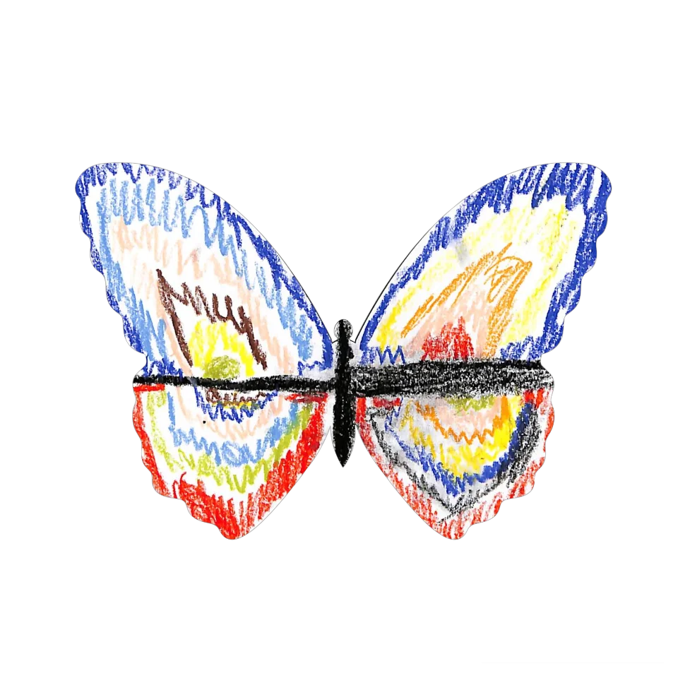 Original Butterfly Image