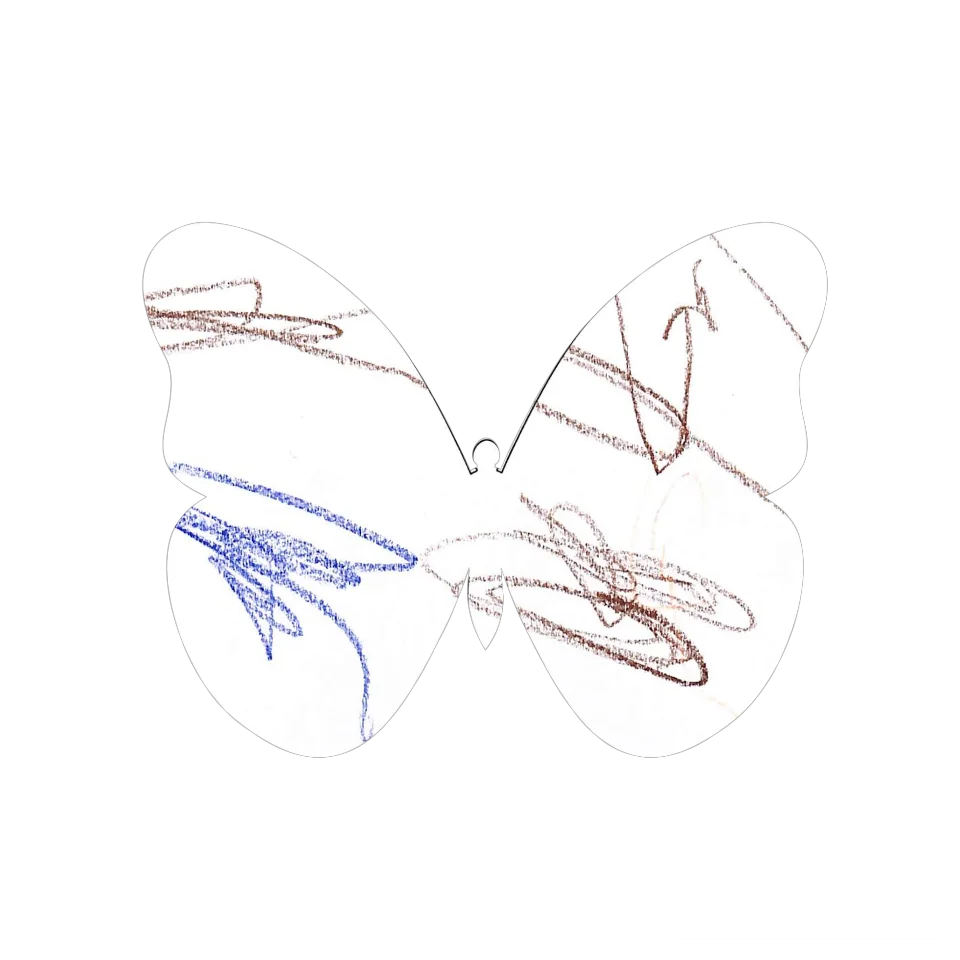 Original Butterfly Image