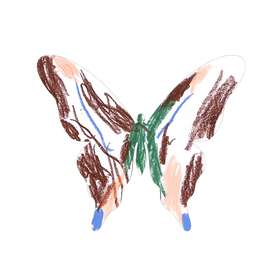 Original Butterfly Image