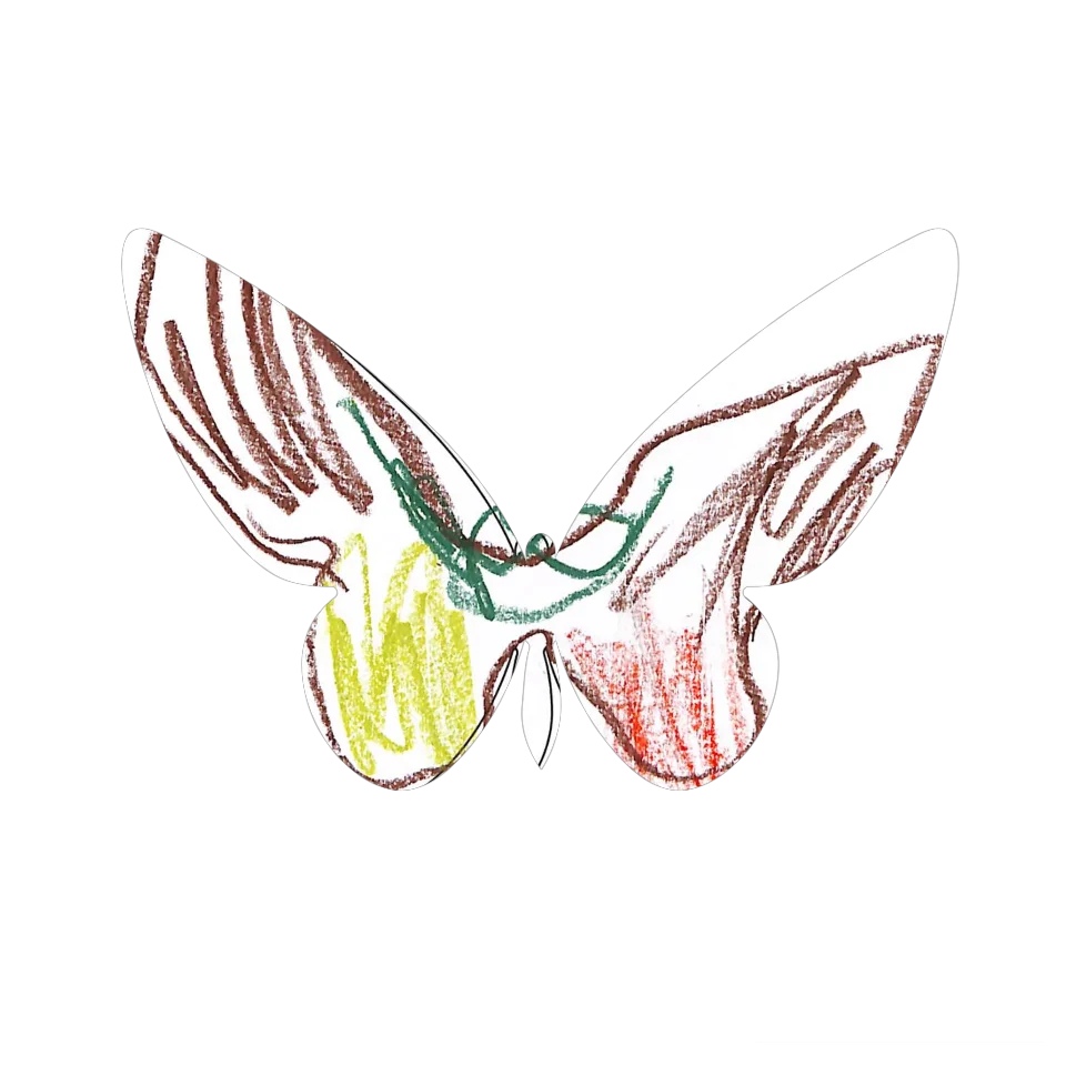 Original Butterfly Image