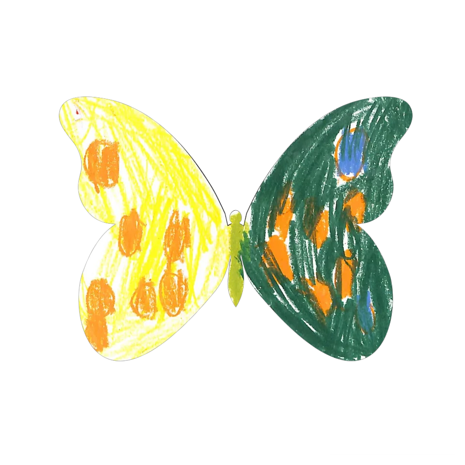 Original Butterfly Image