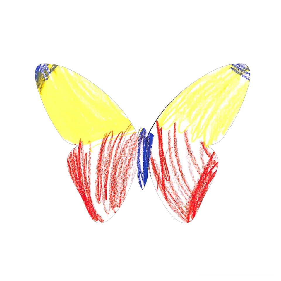 Original Butterfly Image