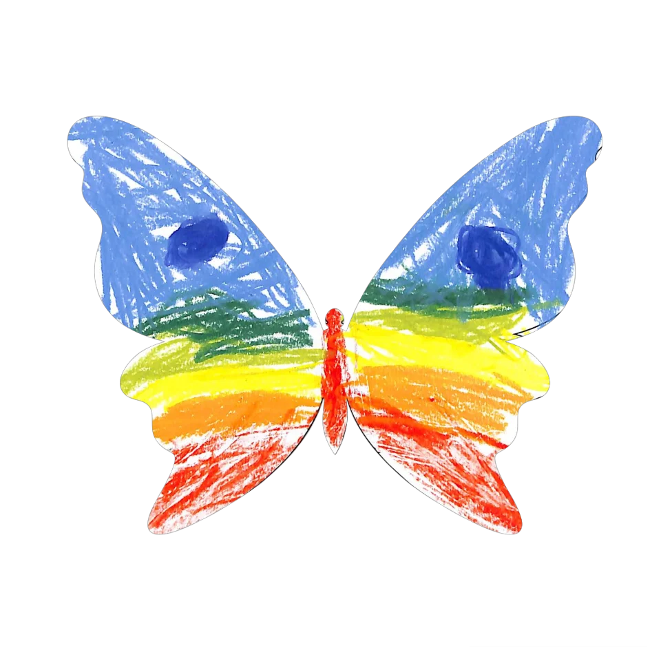 Original Butterfly Image