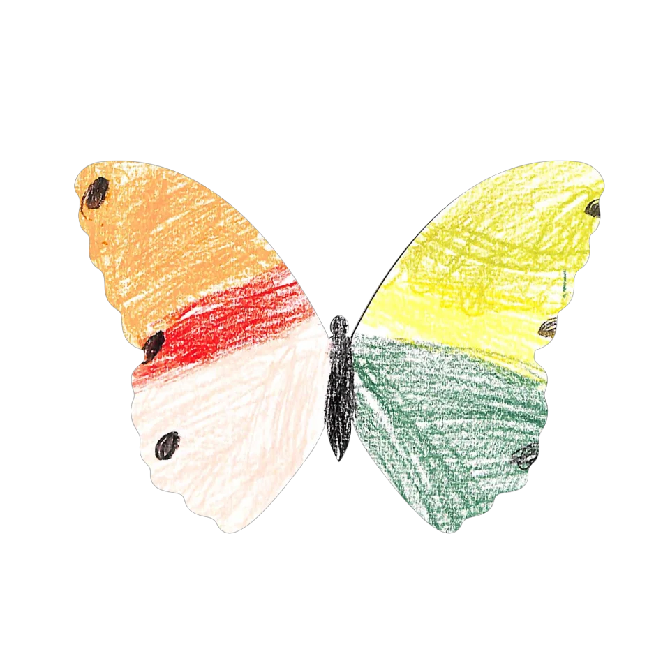 Original Butterfly Image