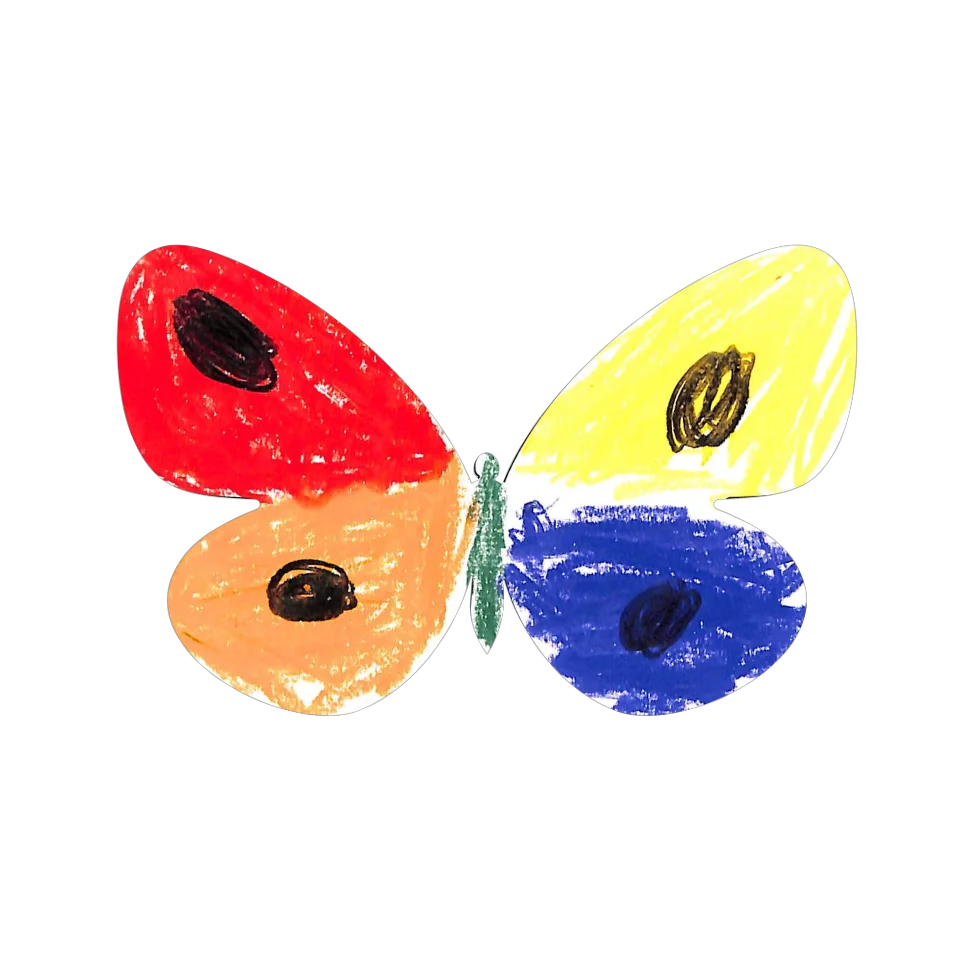 Original Butterfly Image