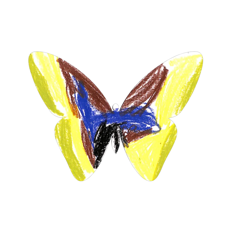 Original Butterfly Image