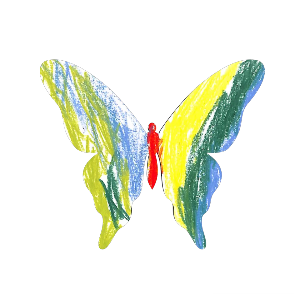 Original Butterfly Image