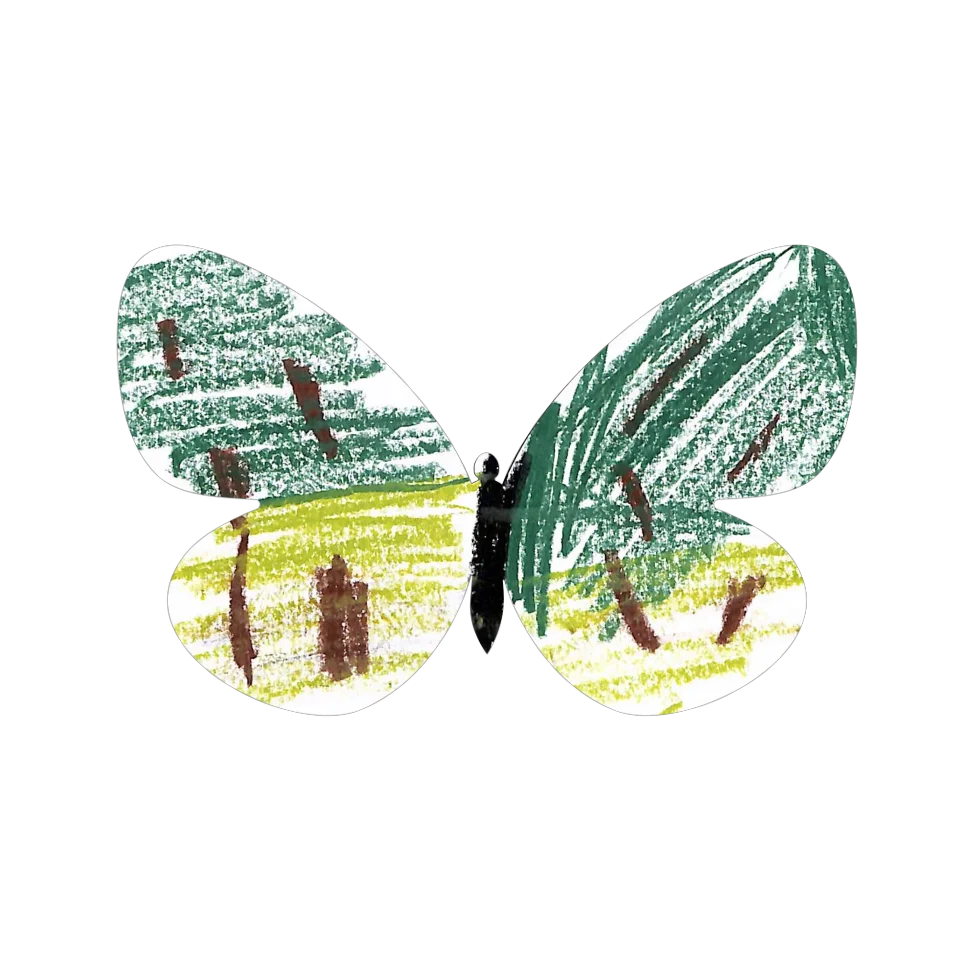 Original Butterfly Image