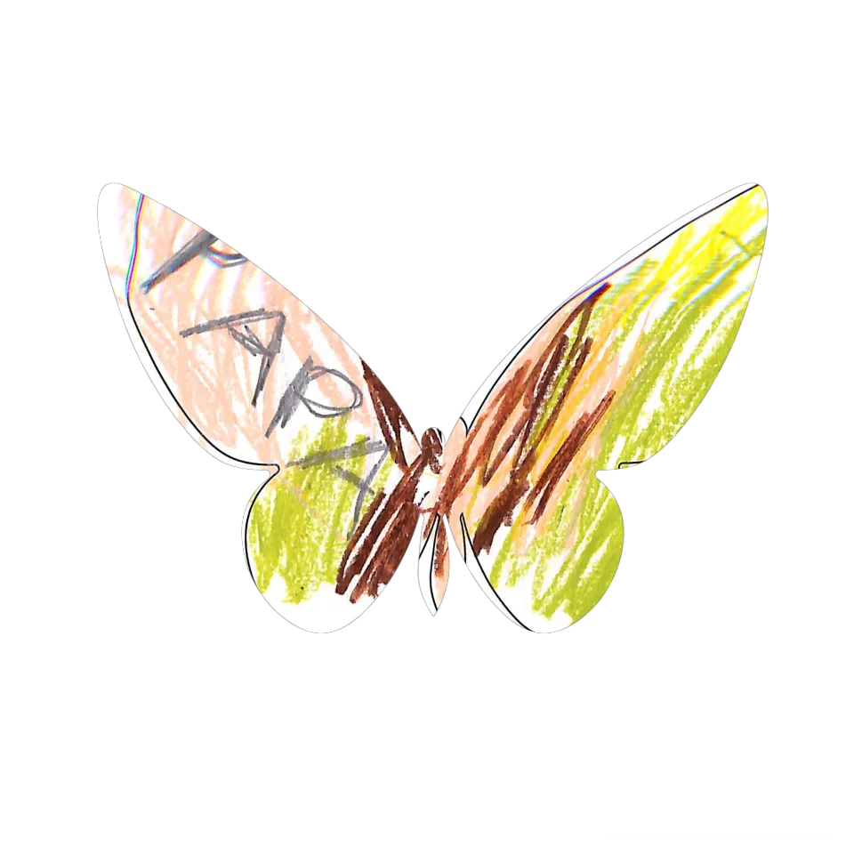 Original Butterfly Image