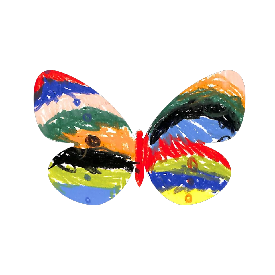 Original Butterfly Image