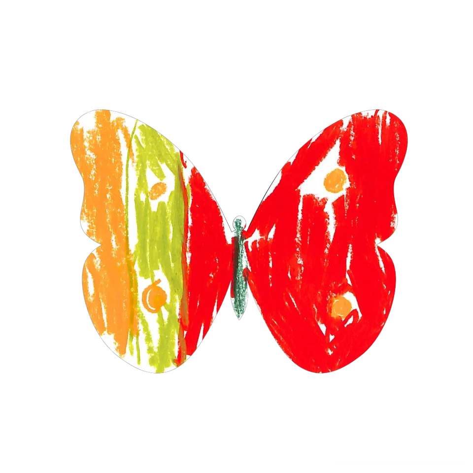Original Butterfly Image