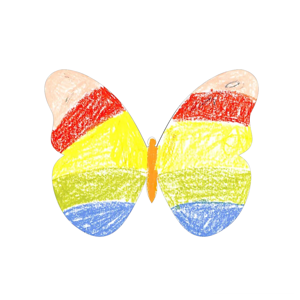 Original Butterfly Image