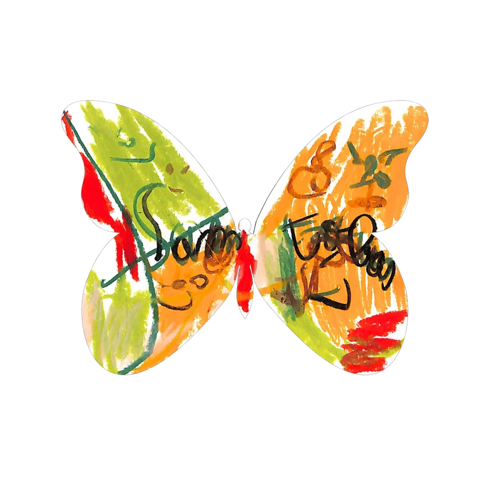 Original Butterfly Image