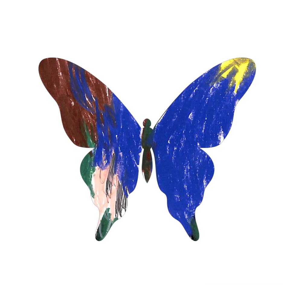 Original Butterfly Image