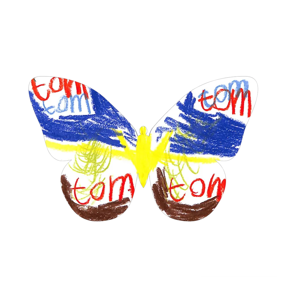 Original Butterfly Image