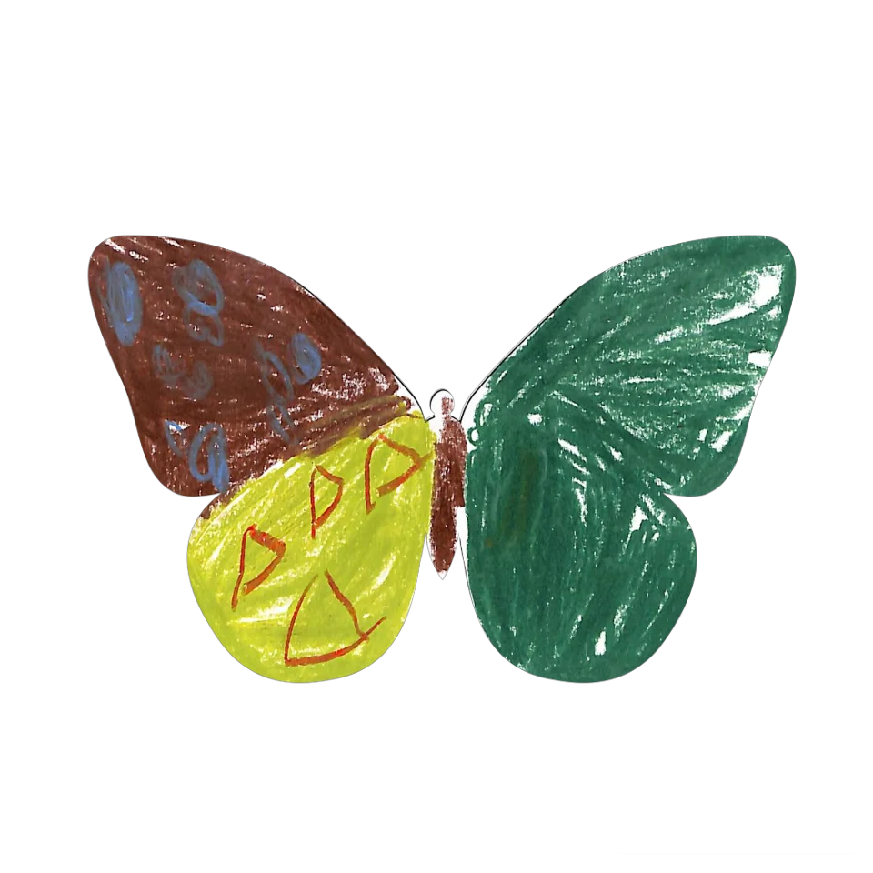 Original Butterfly Image