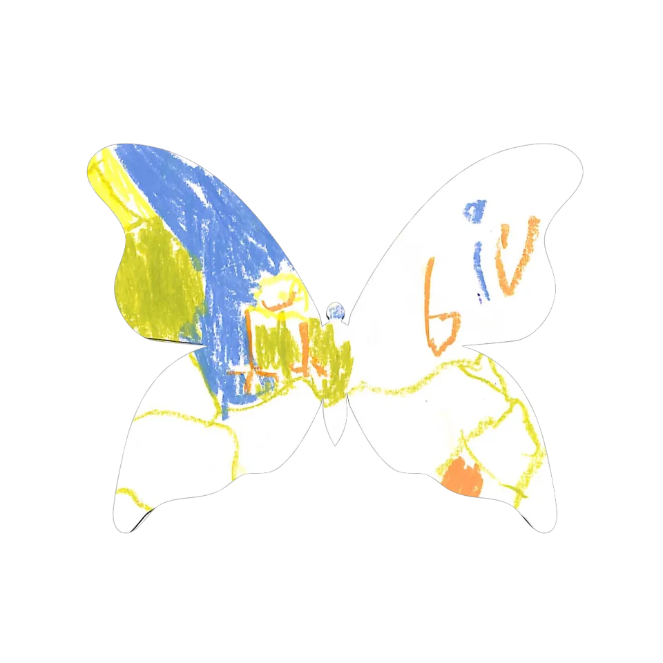 Original Butterfly Image