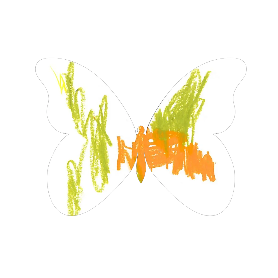 Original Butterfly Image