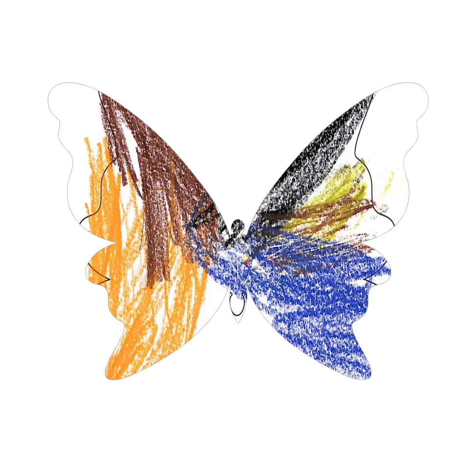 Original Butterfly Image